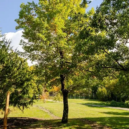 La Ghiandaia 住宿加早餐酒店