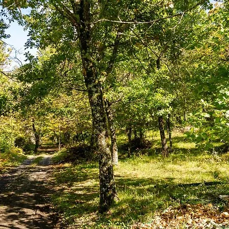 La Ghiandaia 住宿加早餐酒店