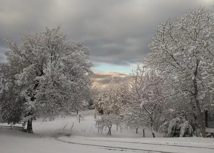 La Ghiandaia Berceto